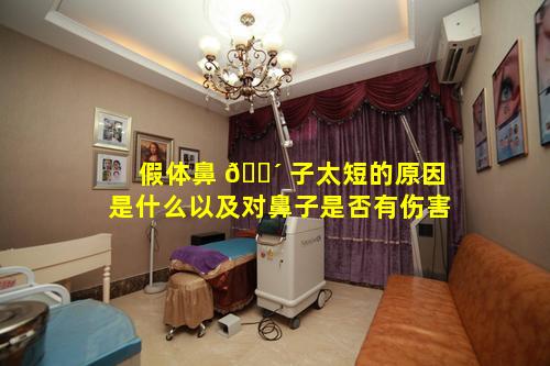 假体鼻 🐴 子太短的原因是什么以及对鼻子是否有伤害